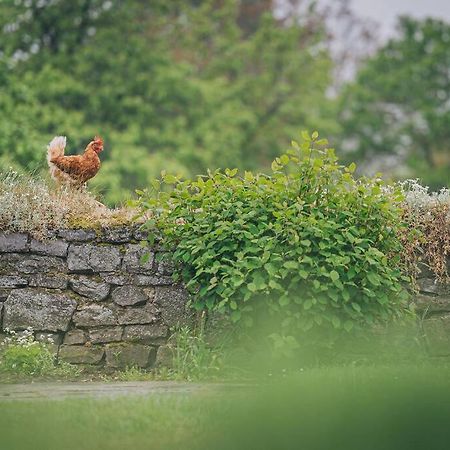 A L'Entree Du Verger - Charmante Maison En Pierres Dinant Zewnętrze zdjęcie