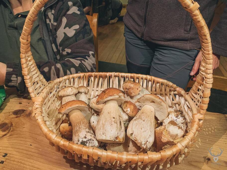 A L'Entree Du Verger - Charmante Maison En Pierres Dinant Zewnętrze zdjęcie